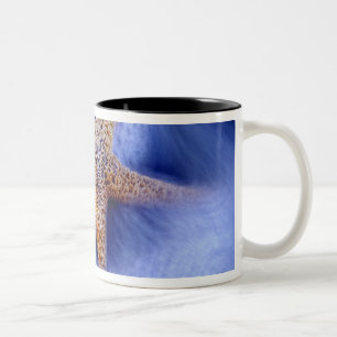 Taza Bicolor EE. UU., Carolina del Sur, Isla Hilton Head. Dos