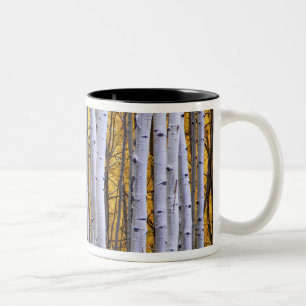 Taza Bicolor EE. UU., Colorado, Montañas Rocosas. Escena íntima