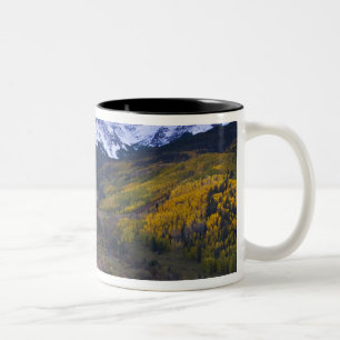 Taza Bicolor EE. UU., Colorado, Montañas Rocosas, San Juan