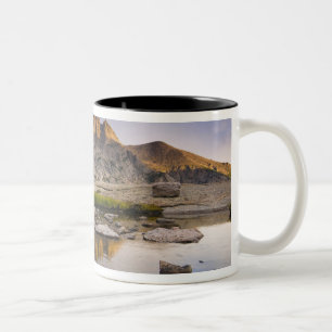 Taza Bicolor EE. UU., Colorado, Parque Nacional Montañas Rocosa