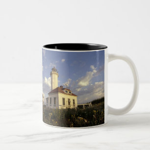 Taza Bicolor EE. UU., Estado de Washington, cerca de Port Towns