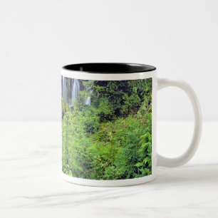 Taza Bicolor EE. UU., Estado de Washington, Desierto de Mt Adam