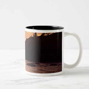 Taza Bicolor EE. UU., Estado de Washington, Parque Nacional Olí