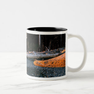 Taza Bicolor EE. UU., Estado de Washington, PN Olímpico. Las ol