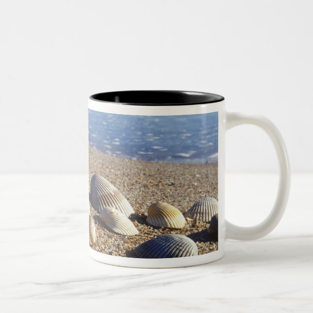 Taza Bicolor EE. UU., Florida, conchas marinas costeras (Derecha)