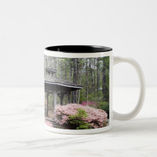 Taza Bicolor EE. UU., Georgia, Pine Mountain. Un cenador entre