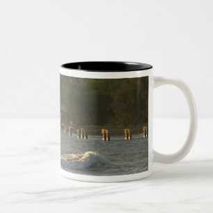 Taza Bicolor EE. UU., Hawái, Kauai, costa suroeste, cerca