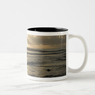 Taza Bicolor EE. UU., Hawái, Kauai, costa suroeste, cerca de Wa