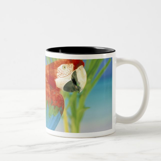 Taza Bicolor EE. UU., Hawái. Loro (Derecha)