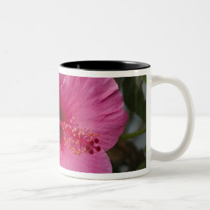 Taza Bicolor EE. UU., Hawái, Oahu. La Hibiscus es la 2