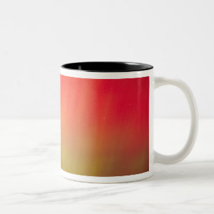 Taza Bicolor EE. UU., Idaho. Aurora borealis, luces del norte a