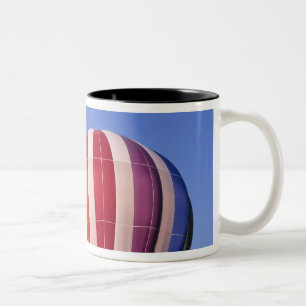 Taza Bicolor EE. UU., Idaho, Valle de Teton. Colorido aire cali
