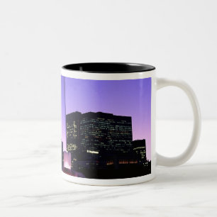 Taza Bicolor EE.UU., IL, Chicago. Fuente de Buckingham, Grant