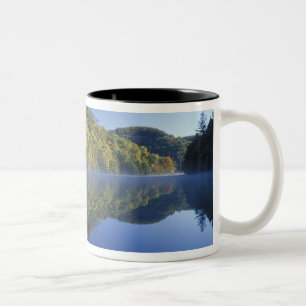 Taza Bicolor EE.UU., Kentucky. Bosque Nacional Daniel Boone,