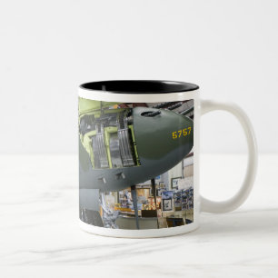 Taza Bicolor EE. UU., Kentucky, Middlesboro: El Escuadrón Perdi