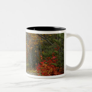 Taza Bicolor EE. UU., Maine, Camden. Carretera que atraviesa Ca