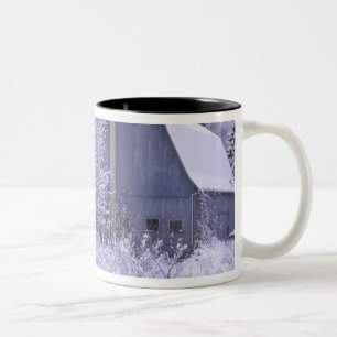 Taza Bicolor EE. UU., Michigan, Rochester Hills. Azul nevado