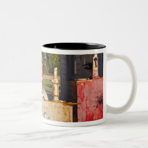Taza Bicolor EE. UU., Mississippi, Jackson. Mississippi