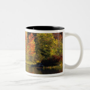 Taza Bicolor EE. UU., New Hampshire, Moultonborough. Árboles en