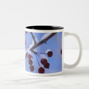 Taza Bicolor EE. UU., Nueva Inglaterra, Massachusetts, Reading,