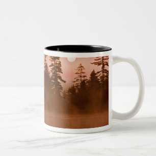Taza Bicolor EE.UU., Nueva York, Adirondack Park. Amanecer en u