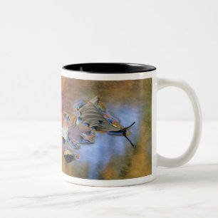 Taza Bicolor EE. UU., Nueva York, Adirondacks, Hojas caídas en