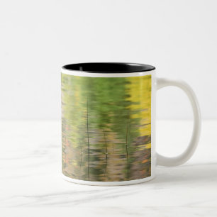 Taza Bicolor EE. UU., Nueva York, Adirondacks, Reflejos en el a