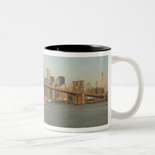 Taza Bicolor EE.UU., Nueva York, Nueva York, Manhattan:13