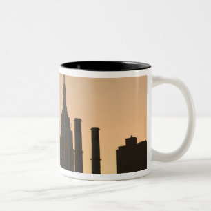 Taza Bicolor EE.UU., Nueva York, Nueva York, Manhattan:23