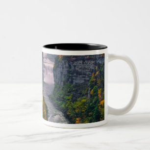 Taza Bicolor EE. UU., Nueva York, Parque Estatal Letchworth. Rí