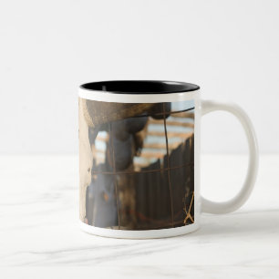Taza Bicolor EE. UU., Nuevo México, Mesilla: Plaza histórica de