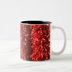 Taza Bicolor EE. UU., Nuevo México, Santa Fe: Centro de Santa F