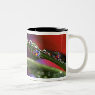 Taza Bicolor EE. UU., Oregón, Acercamiento abstracto de morado