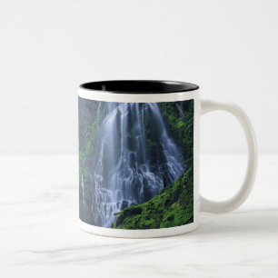Taza Bicolor EE. UU., Oregón, Bosque Nacional Willamette. Vista