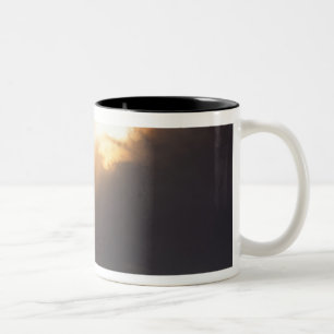 Taza Bicolor EE. UU., Oregón, cerca del Parque Estatal Oswald W