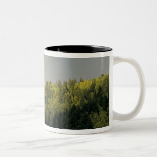 Taza Bicolor EE. UU., Oregón, desfiladero nacional del río Colu