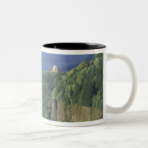 Taza Bicolor EE. UU., Oregón, garganta del río Columbia NSA. Vi