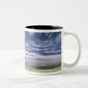 Taza Bicolor EE. UU., Oregón, Monte Steens. La primavera florec