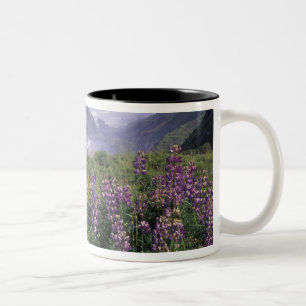 Taza Bicolor EE. UU., Oregón, Nesika Beach. Lupino y Oregón