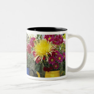 Taza Bicolor EE. UU., Oregón, Portland. Loza esmaltada antigua