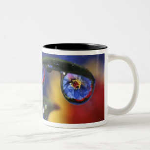 Taza Bicolor EE. UU., Oregón, Portland, Primer plano de mariqui