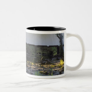 Taza Bicolor EE. UU., Oregón. Puente cubierto de Harris sobre M