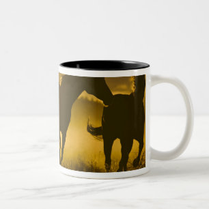 Taza Bicolor EE. UU., Oregón, Seneca, Ponderosa Ranch.