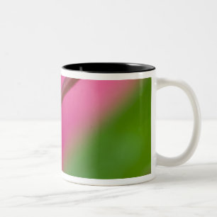 Taza Bicolor EE. UU., Oregón, Shore Acres Gardens, gota de agua