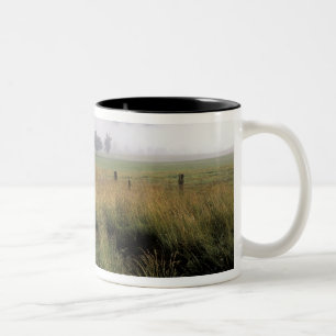 Taza Bicolor EE. UU., Tennessee, Grandes Montañas Humeantes
