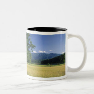 Taza Bicolor EE. UU., Tennessee. Grandes Montañas Humeantes 3