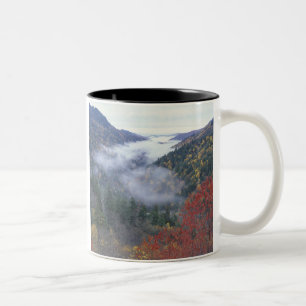 Taza Bicolor EE. UU., Tennessee, Parque Nacional Grandes Montañ