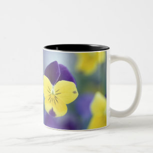 Taza Bicolor EE. UU., Utah, Cache Valley Detalle de un Johnny J