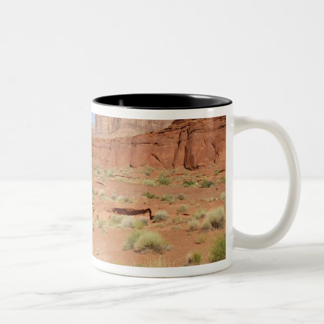Taza Bicolor EE.UU., Utah, Canyonlands NP, Cañón Shafer (Derecha)