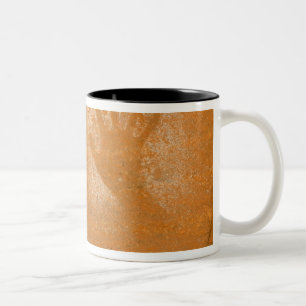 Taza Bicolor EE. UU., Utah, Huellas dactilares pictográficas en